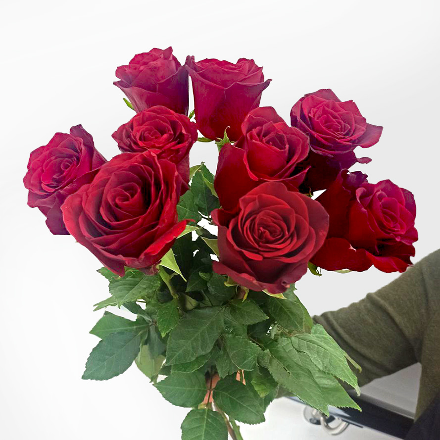 Букет 9 красных роз (60 см)